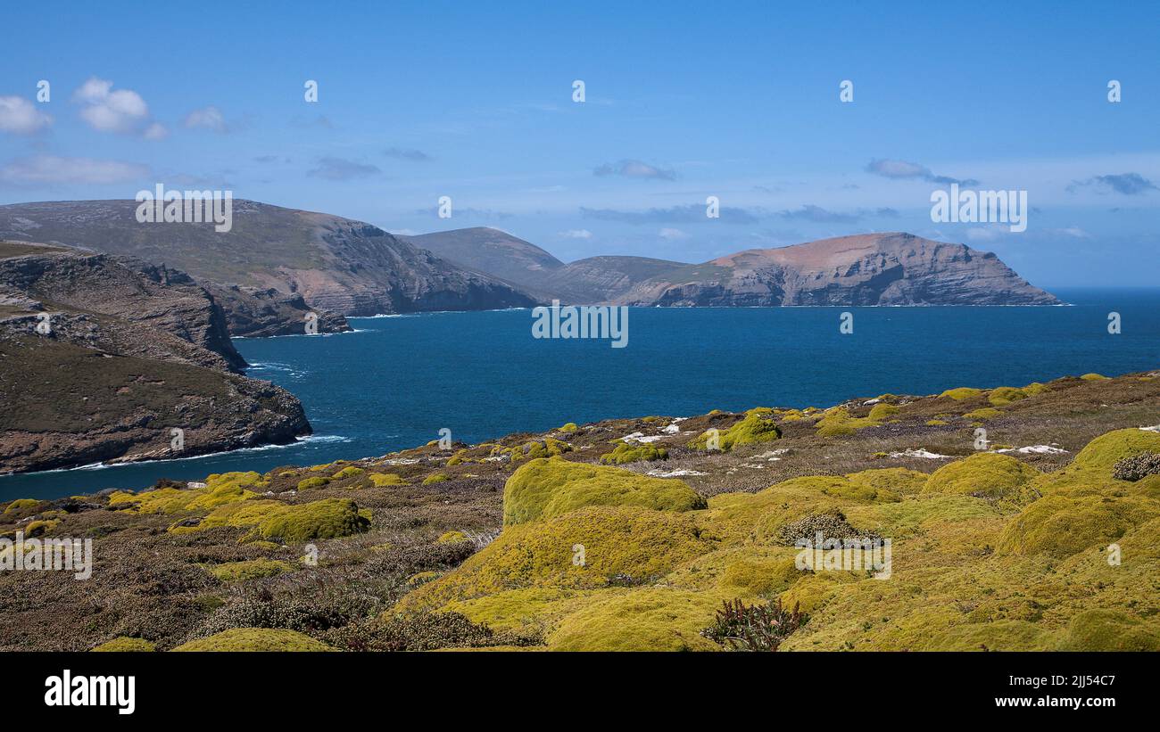 View across The Wooly Gut of the sea cliffs of East Falkland Stock Photo