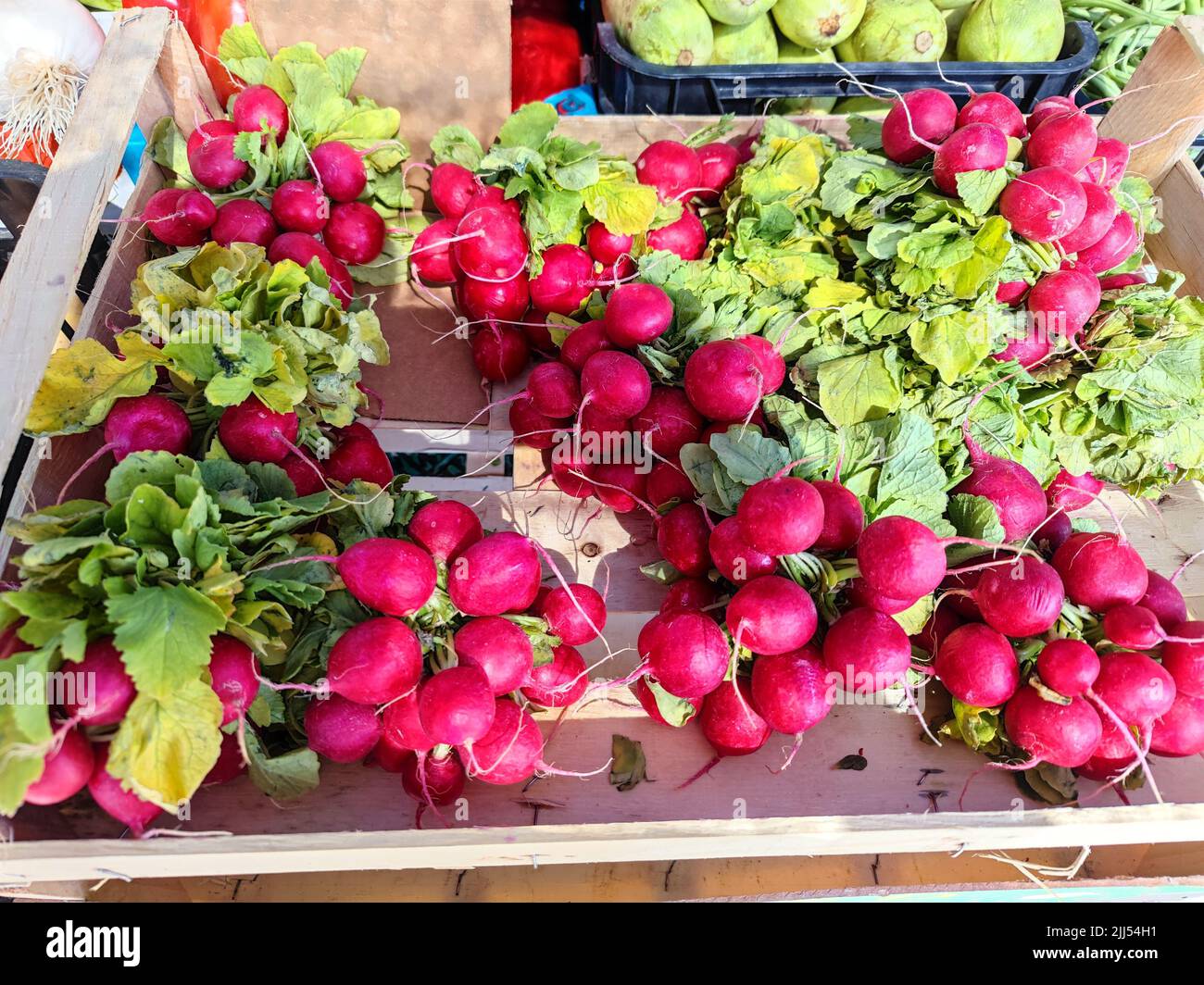Delicious fresh radish sold in a market stall on a street market Stock Photo