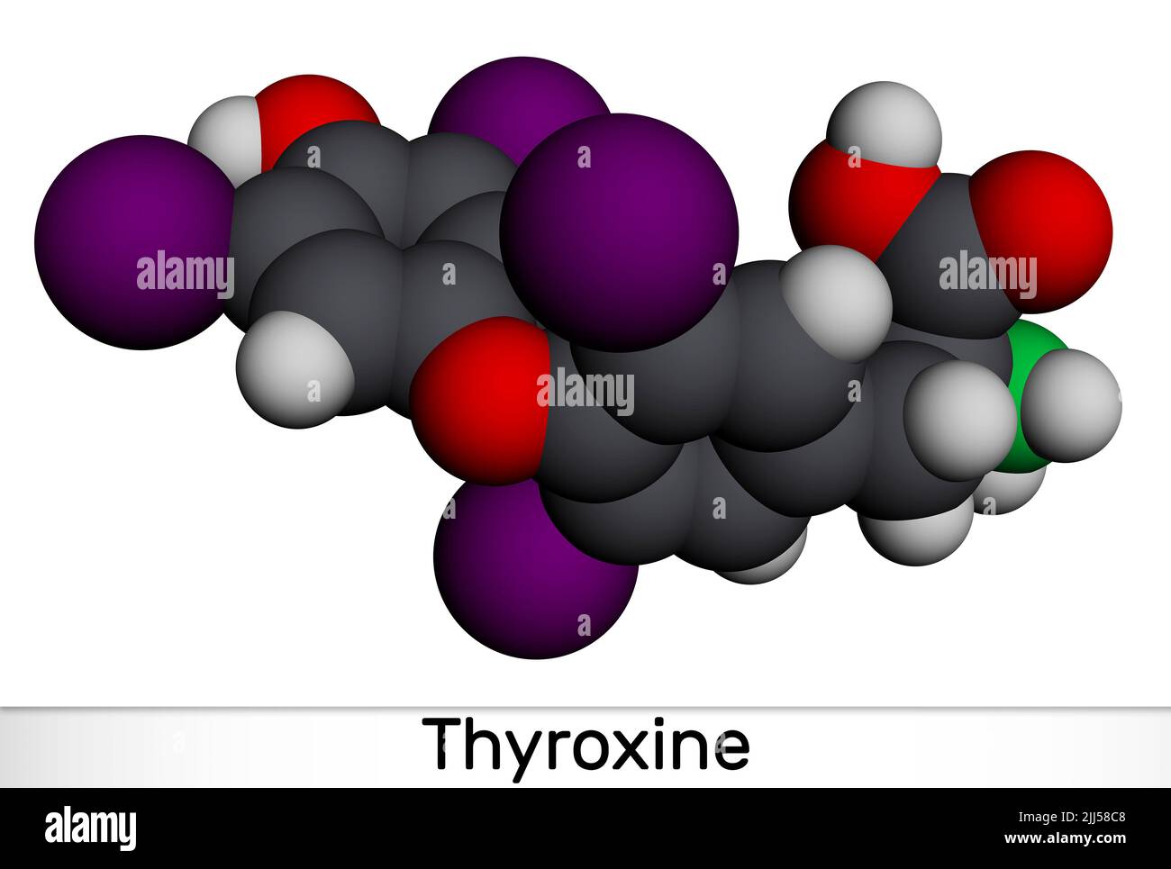 Thyroxine, T4, levothyroxine molecule. It is thyroid hormone, prohormone of thyronine T3, used to treat hypothyroidism. Molecular model. 3D rendering. Stock Photo