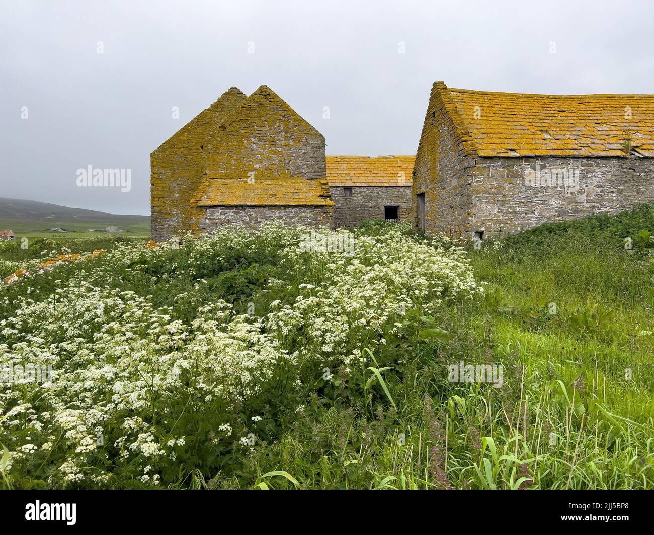 Old Barns on Rousay Orkney Stock Photo