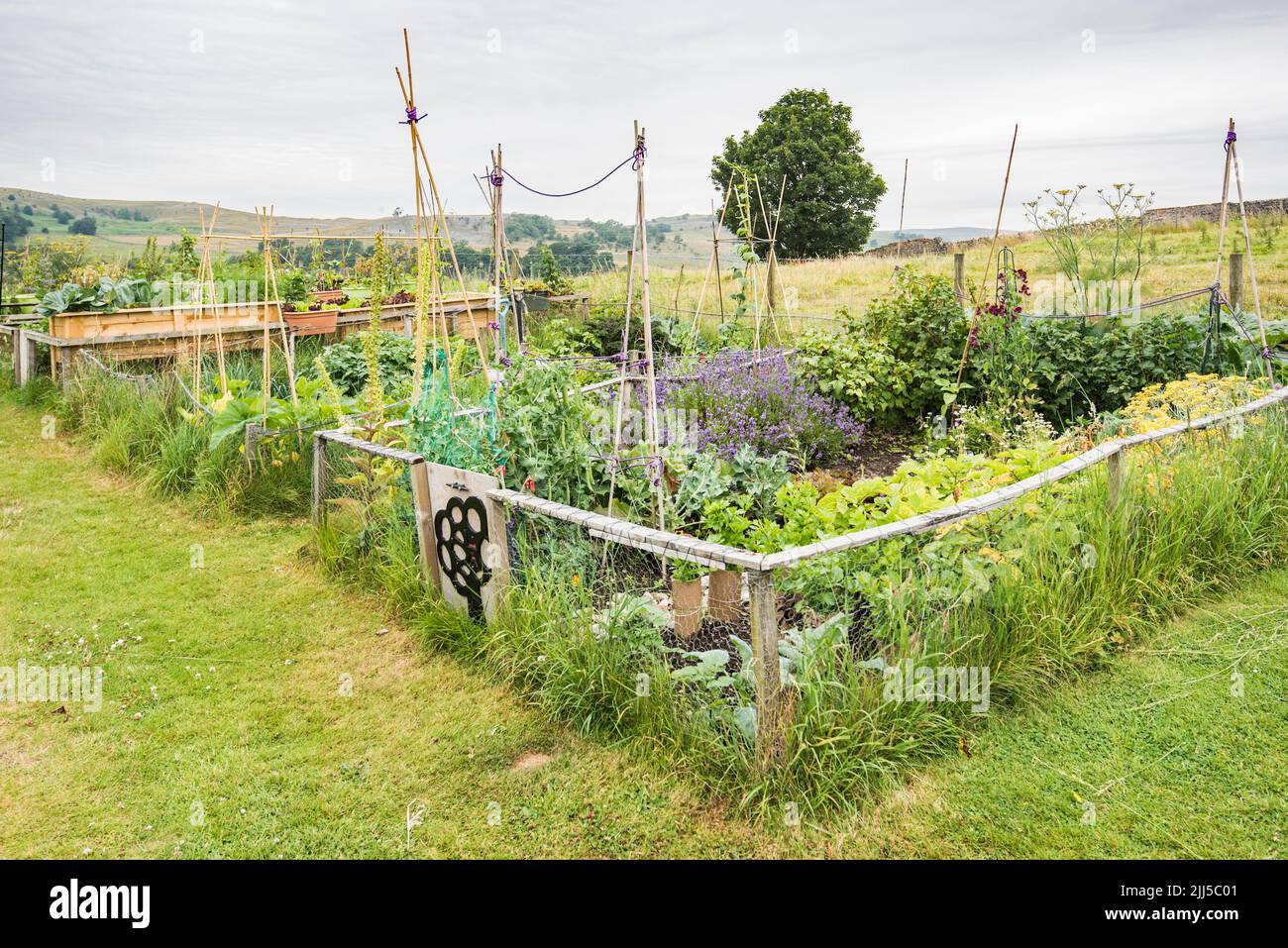 Community allotments in Langcliffe North Yorkshire, with manageable