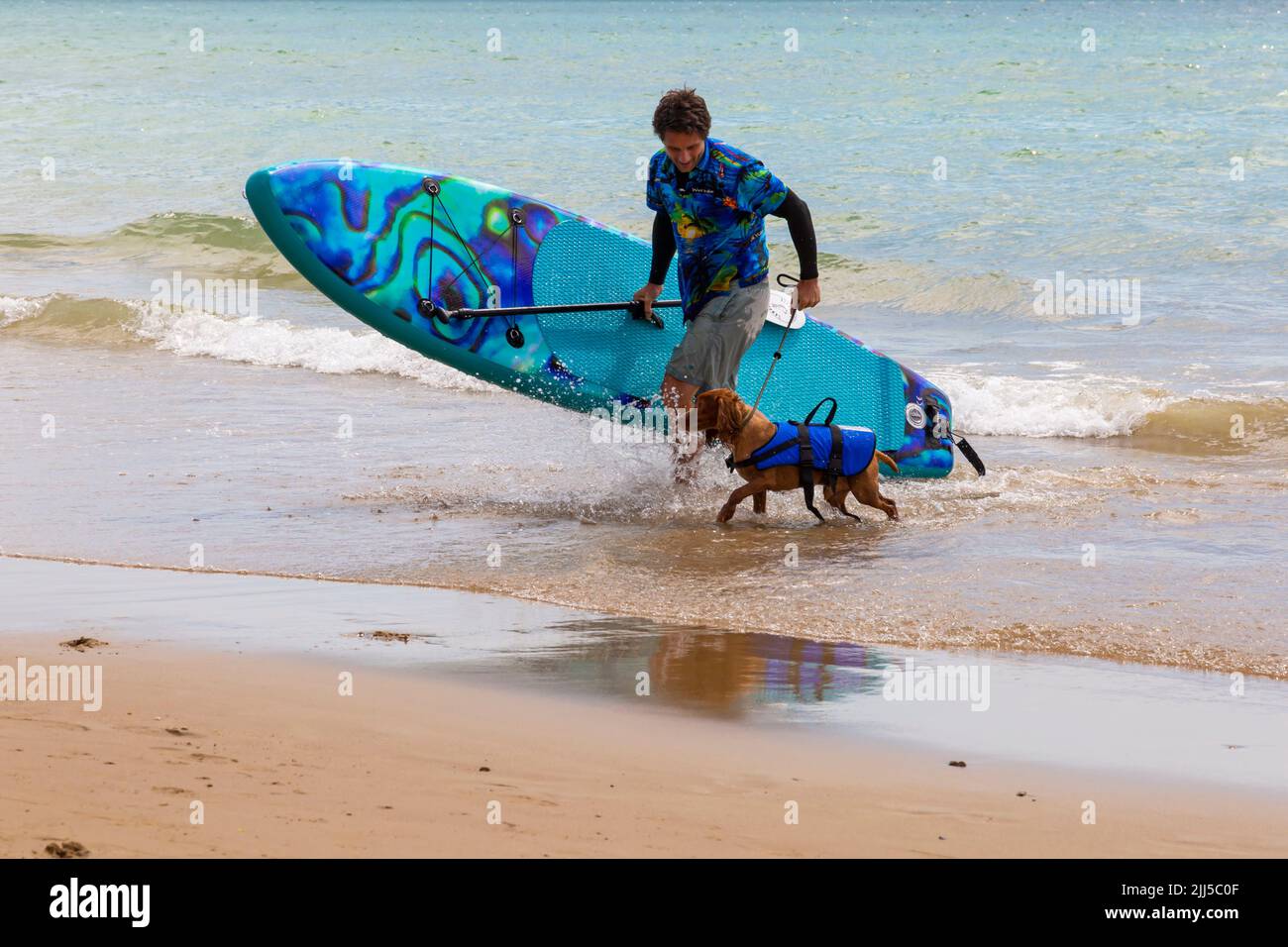 Branksome Dene Chine, Poole, Dorset, UK. 23rd July 2022. The UK Dog Surfing Championships Dog Masters Festival, organised by Shaka Surf, takes place at Branksome Dene Chine beach. Britains only surf contest for canines, now in its fourth year, is bigger than ever, with 30 canine competitors registered for a fast paced doggy paddleboard race, as well as dog owner lookalike fancy dress competition, Mutts Market, Paw Inn beach bar, dog show, food and more, with live music into the evening. Credit: Carolyn Jenkins/Alamy Live News Stock Photo