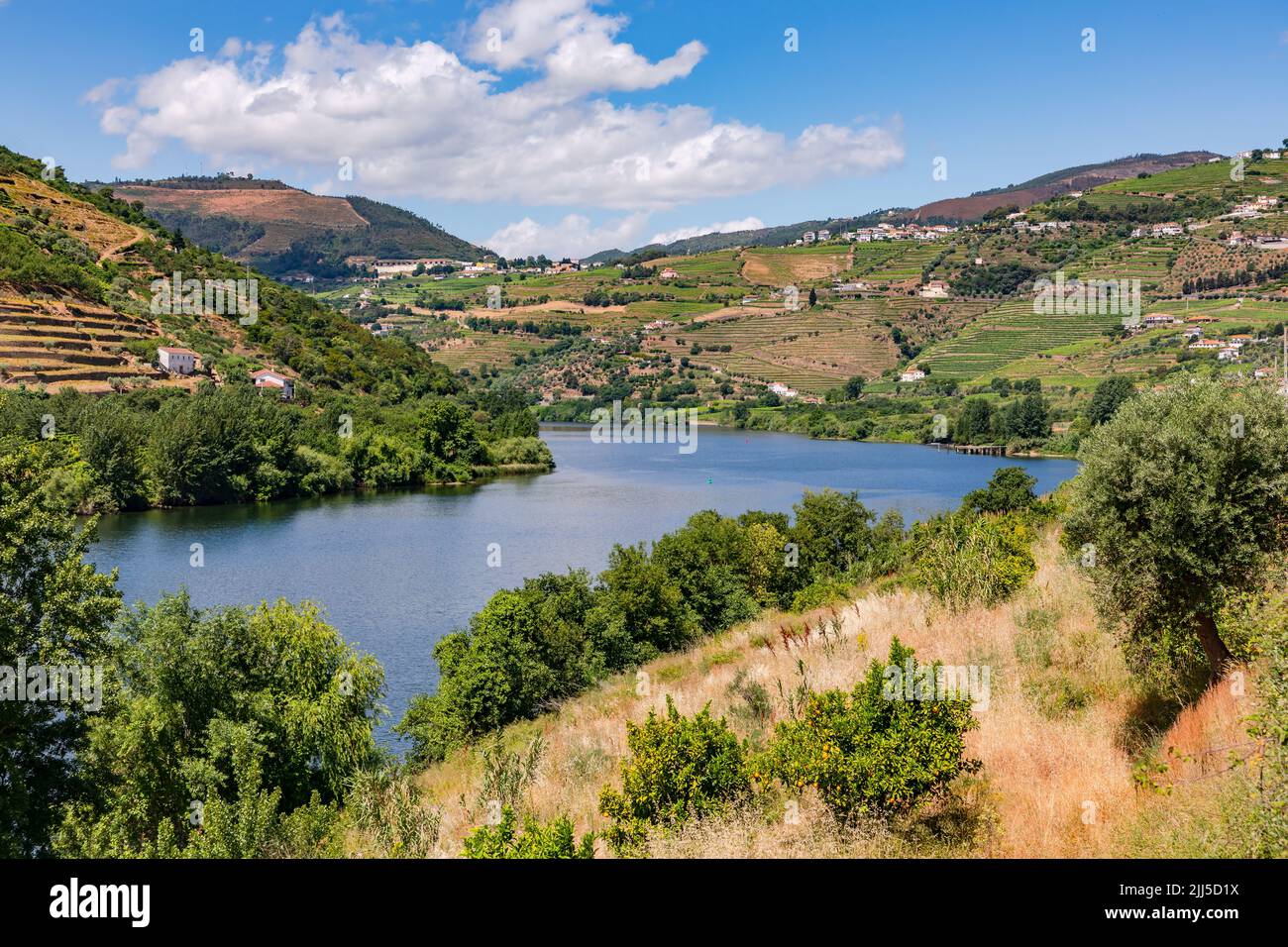 View of the vines and hillsides on the scenic Alto Douro in the hinterland of Porto, Portugal Stock Photo