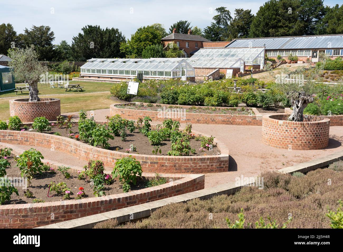 Greenhouses and the 'Mediterranean Garden' in the renovated historic Georgian Walled Gardens of Croome Court, Worcestershire, UK Stock Photo