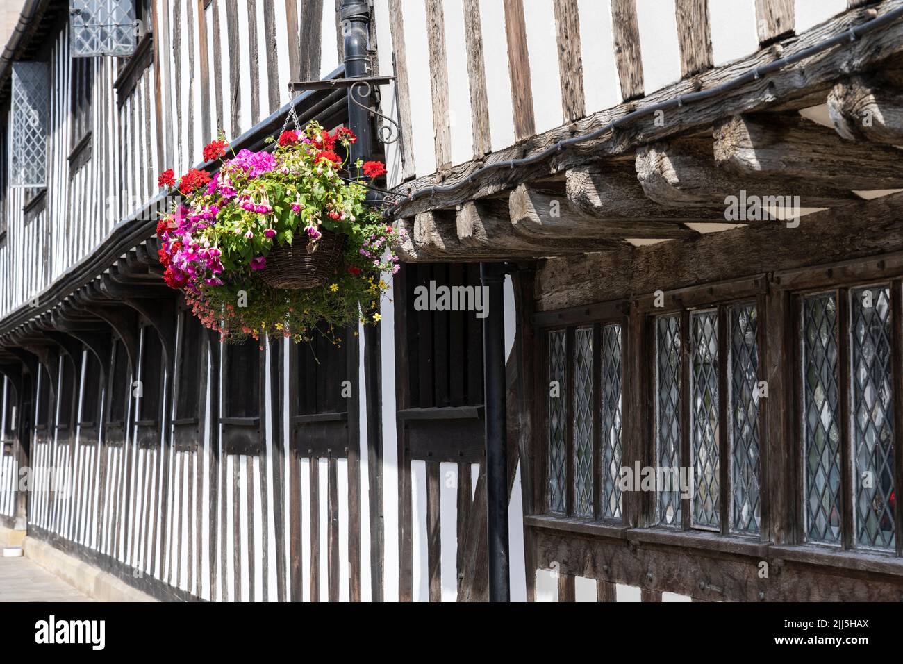 Flower basket hanging from the jettied timber framing of the Almshouses (foreground) and Guildhall, King Edward VI Grammar School. Stratford upon Avon Stock Photo