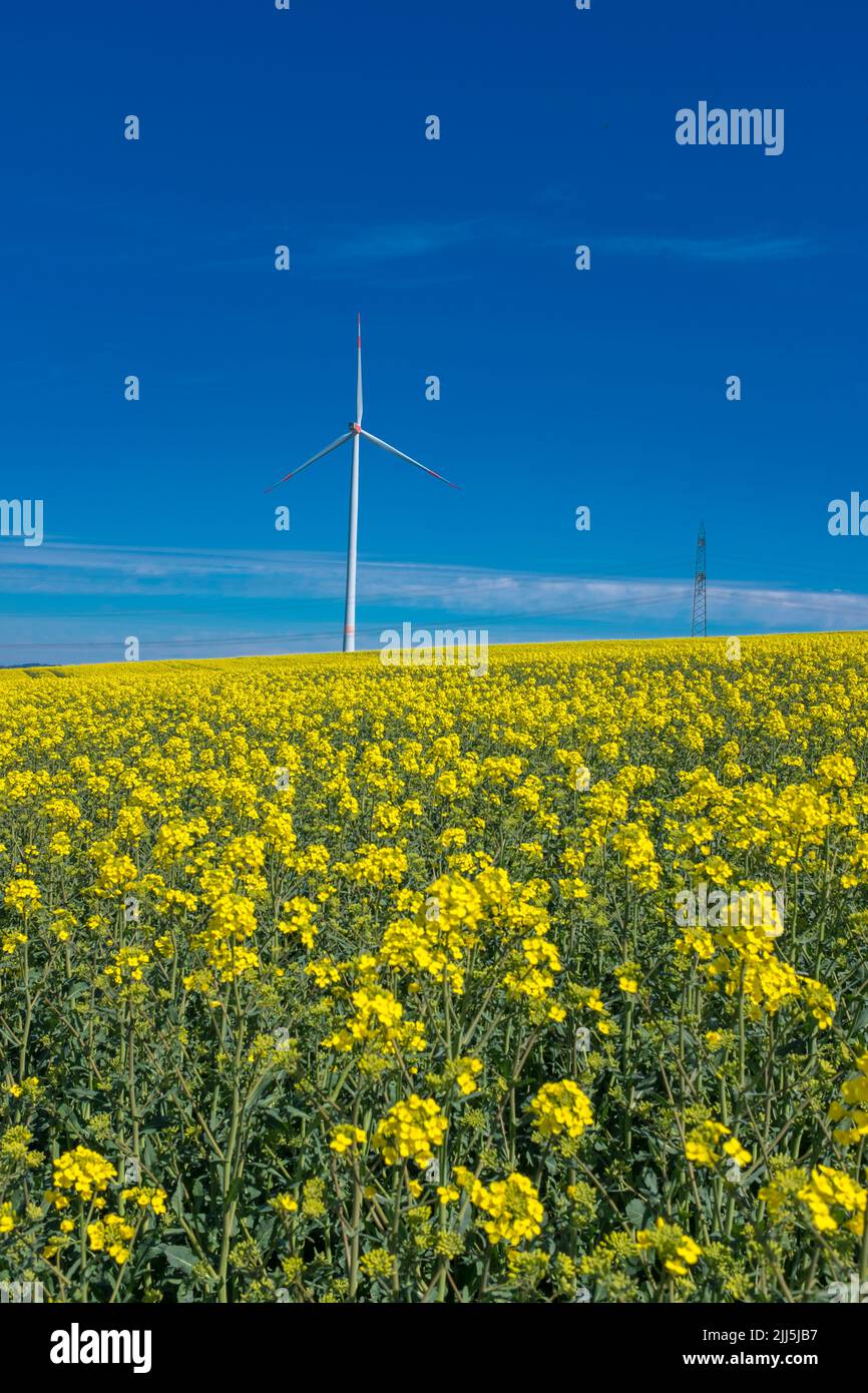 Wind turbine at field on sunny day Stock Photo - Alamy
