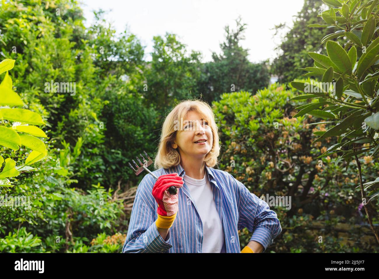 Hand rake hi-res stock photography and images - Alamy