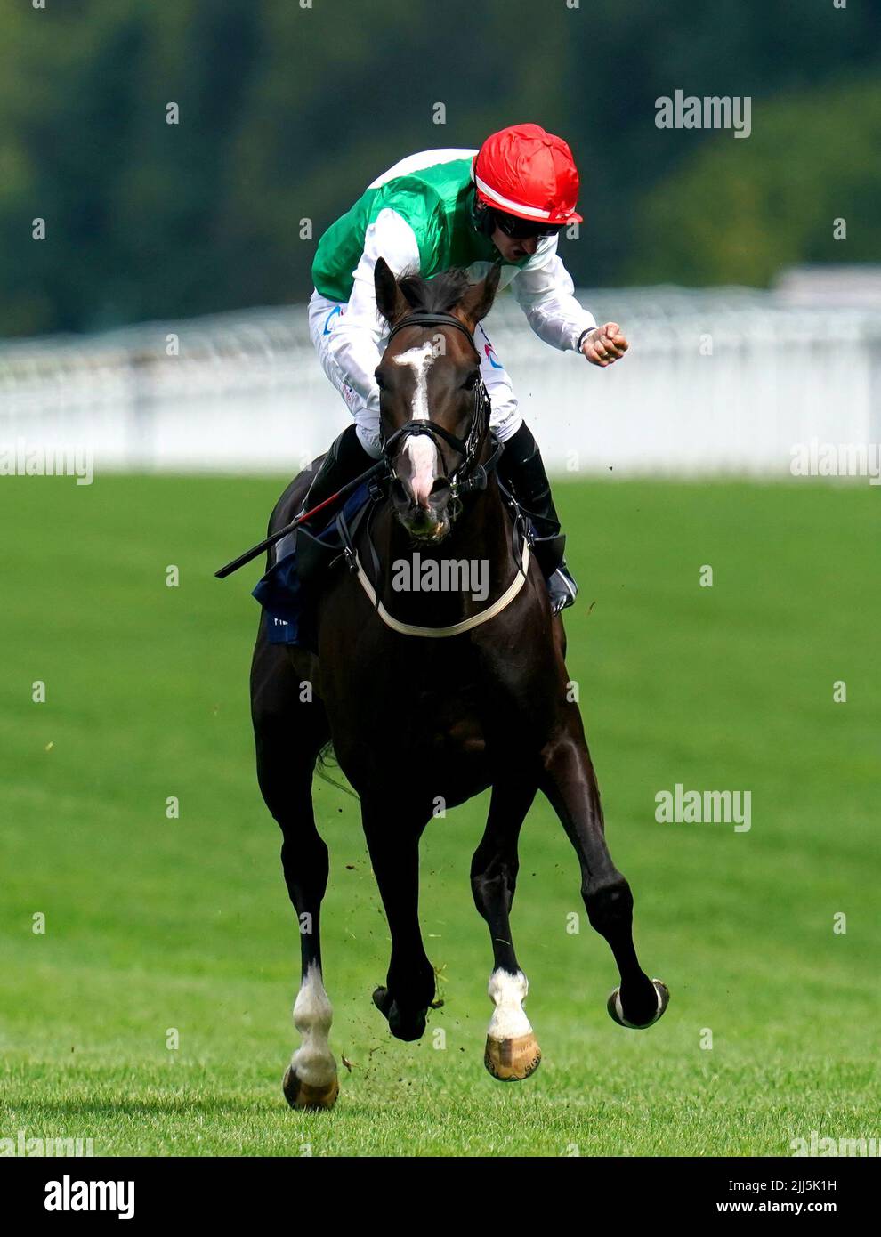 Pyledriver horse ascot 2022 hires stock photography and images Alamy