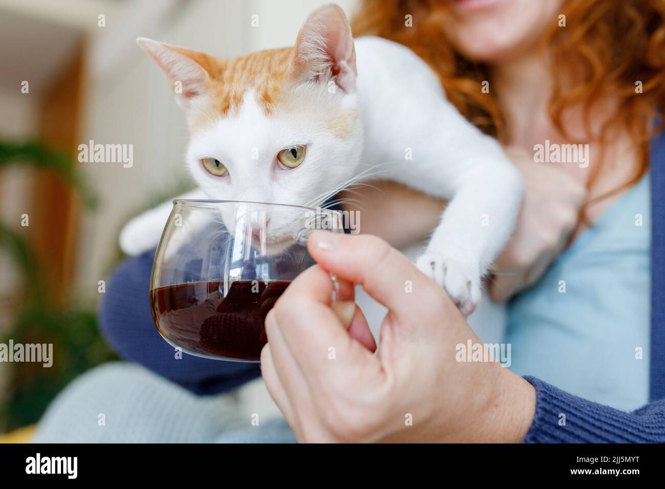 Drinking from teacup hi-res stock photography and images - Alamy