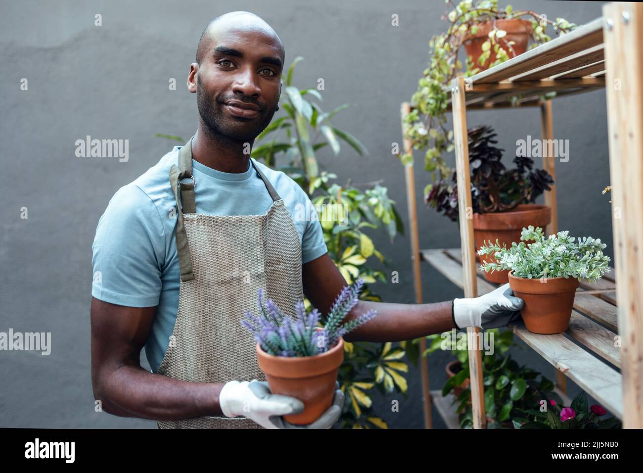 Smiling bald man holding potted plants standing in garden Stock Photo ...