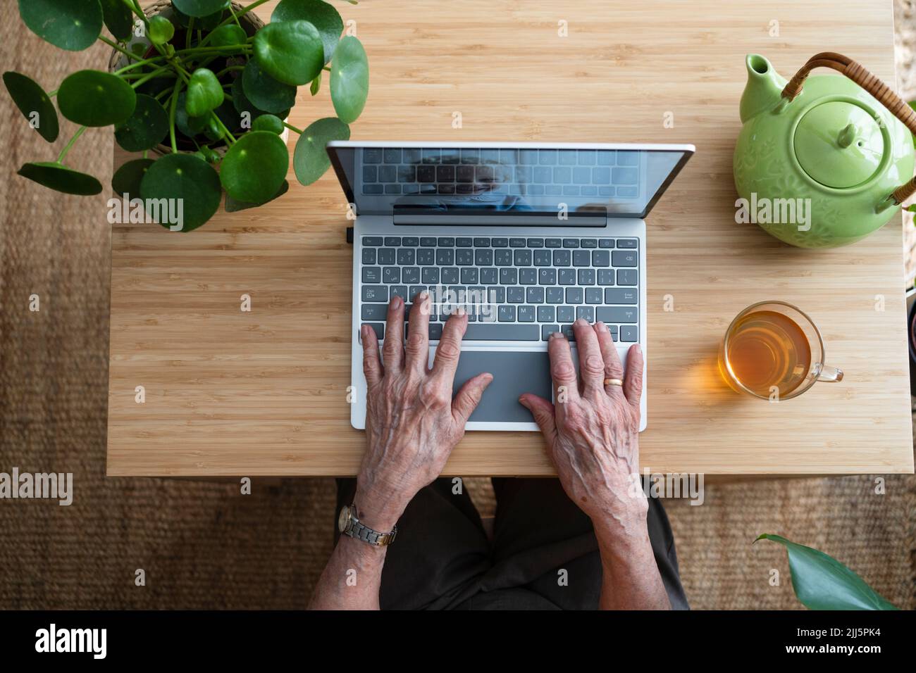 Hands of woman using laptop at home Stock Photo