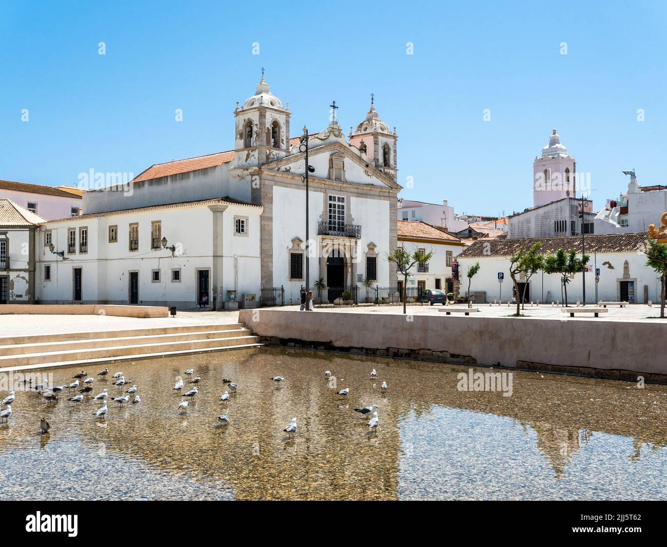 Portugal, Faro District, Lagos, Flock of pigeons standing in coastal water with Republic Square and Church of Santa Maria de Lagos in background Stock Photo