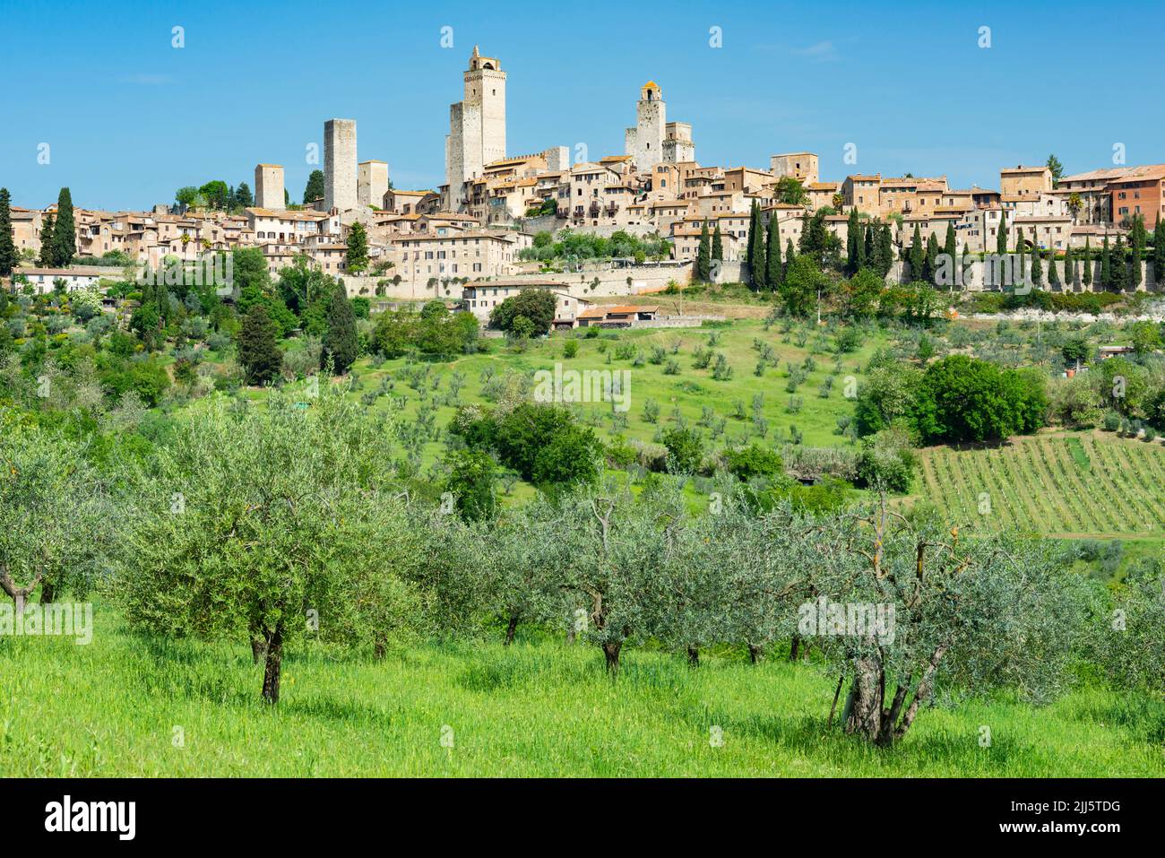Italy, Tuscany, San Gimignano, Summer orchard with medieval town in background Stock Photo