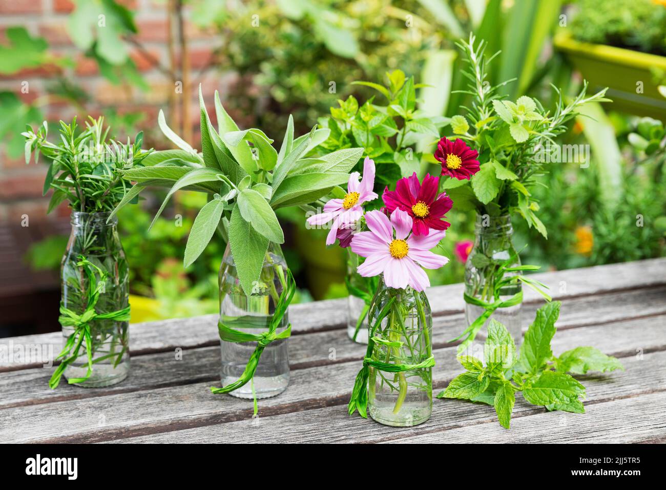 Herbs growing in bottle hires stock photography and images Alamy