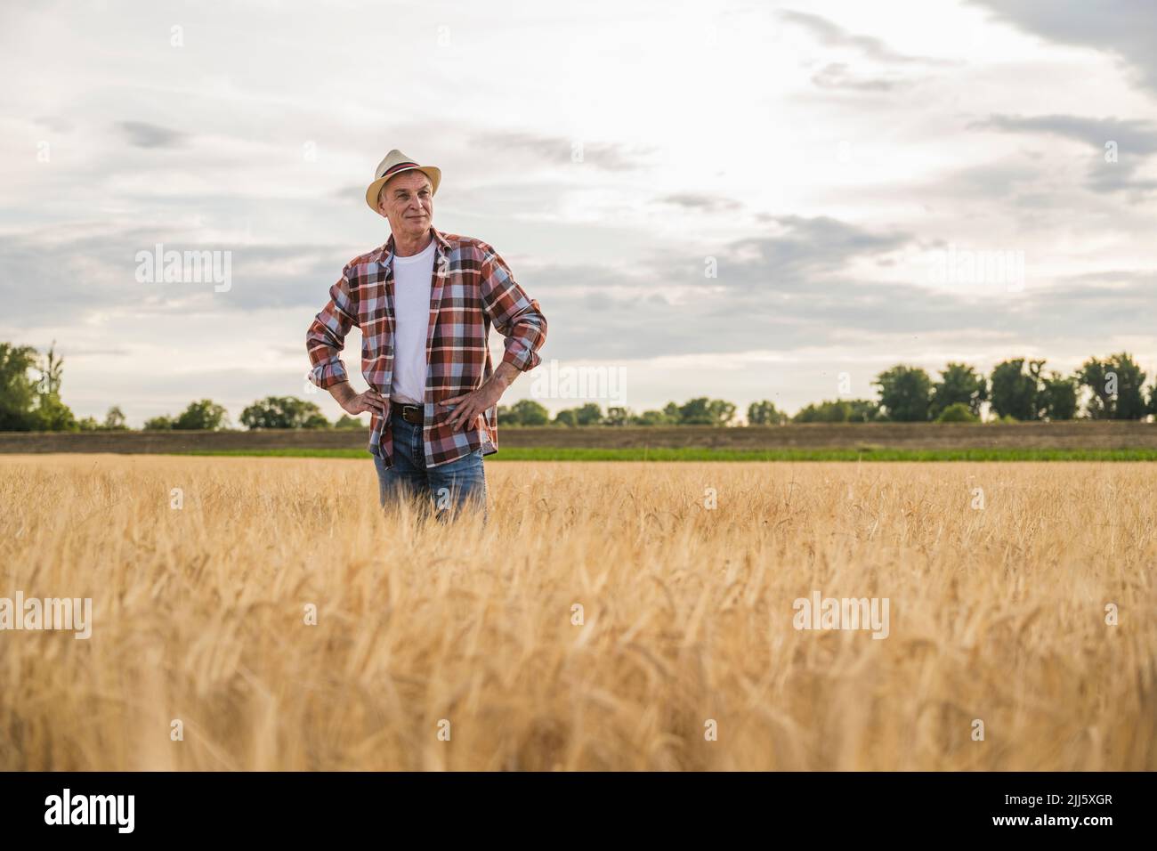 Happy farmer with arms akimbo standing in farm Stock Photo - Alamy