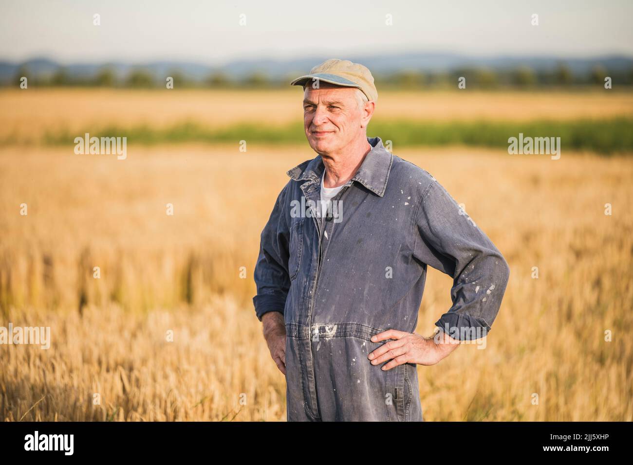 Smiling senior farmer wearing cap standing with arms akimbo at farm ...