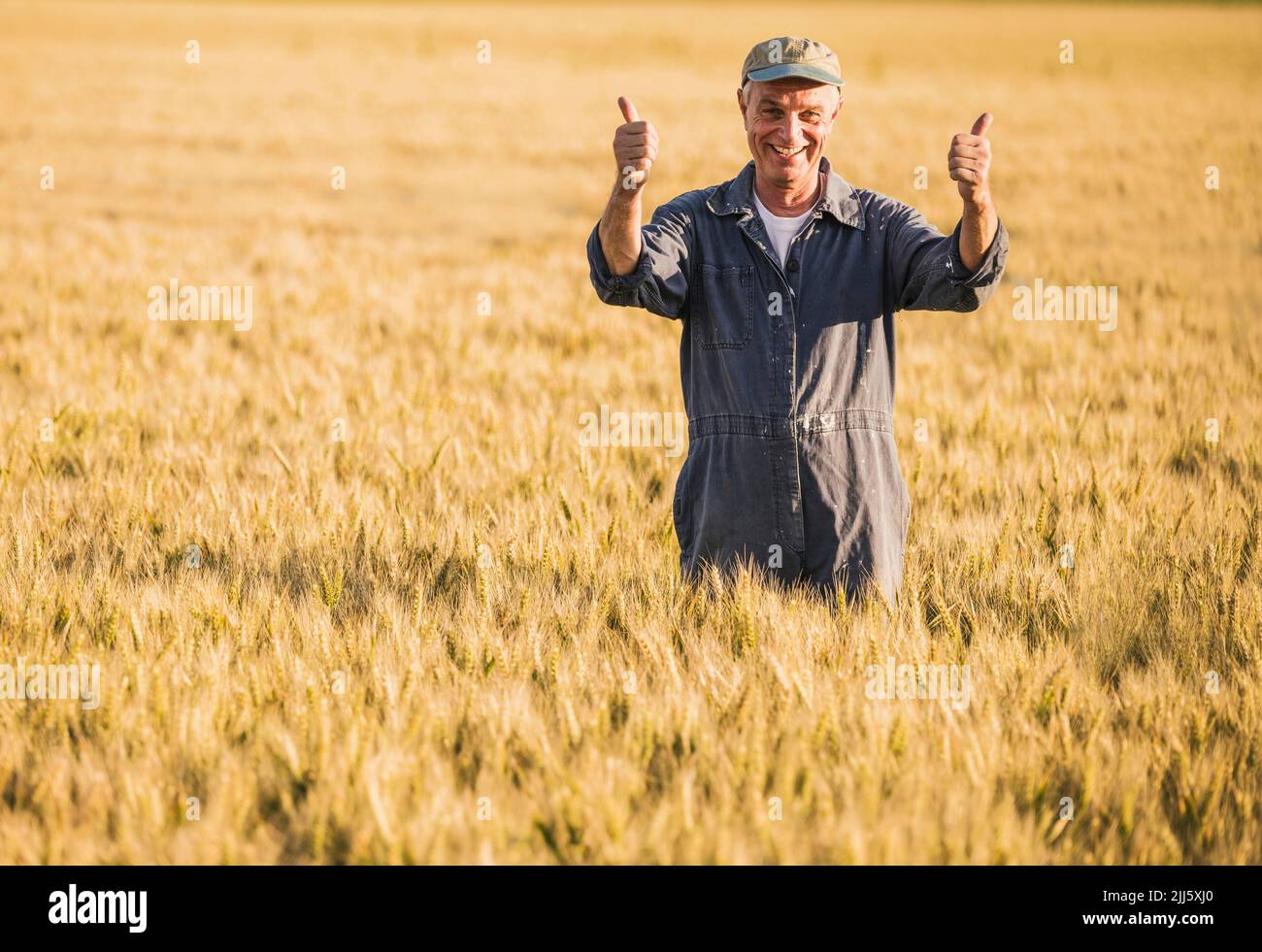 Happy senior farmer with thumbs up gesture standing in field Stock ...