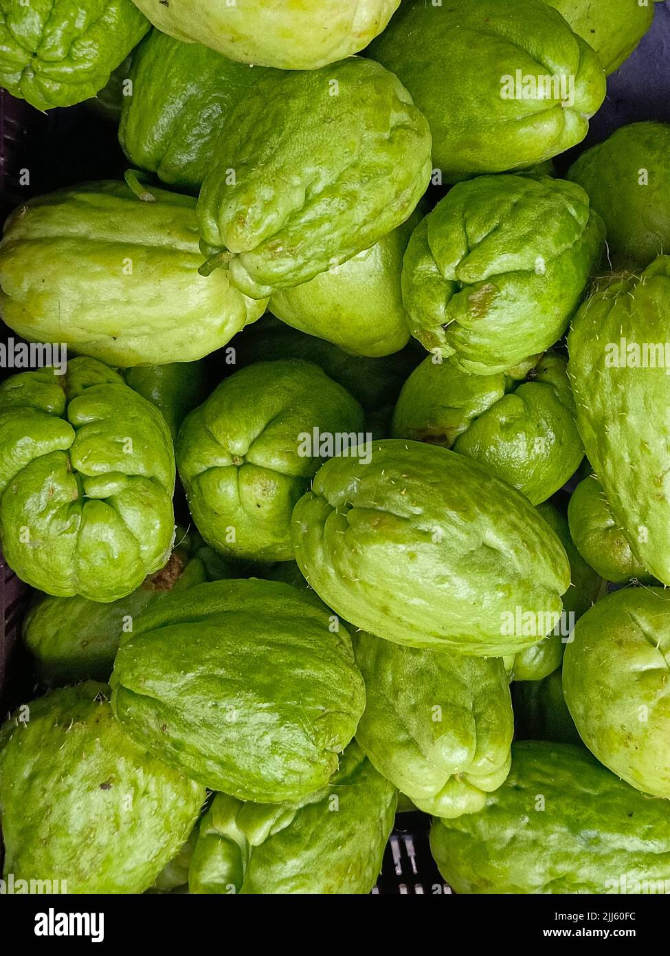 Freah chayote or Sechium edule on market for sale, Fresh Green Vegetable. Background Stock Photo