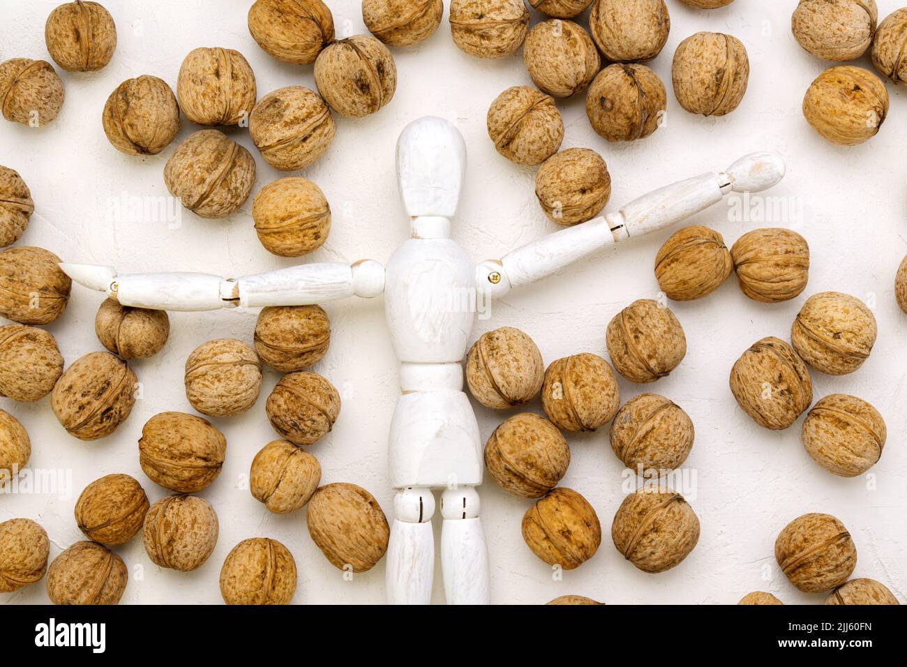Walnut. concept idea in the human brain. Thinking. Vitamins for the