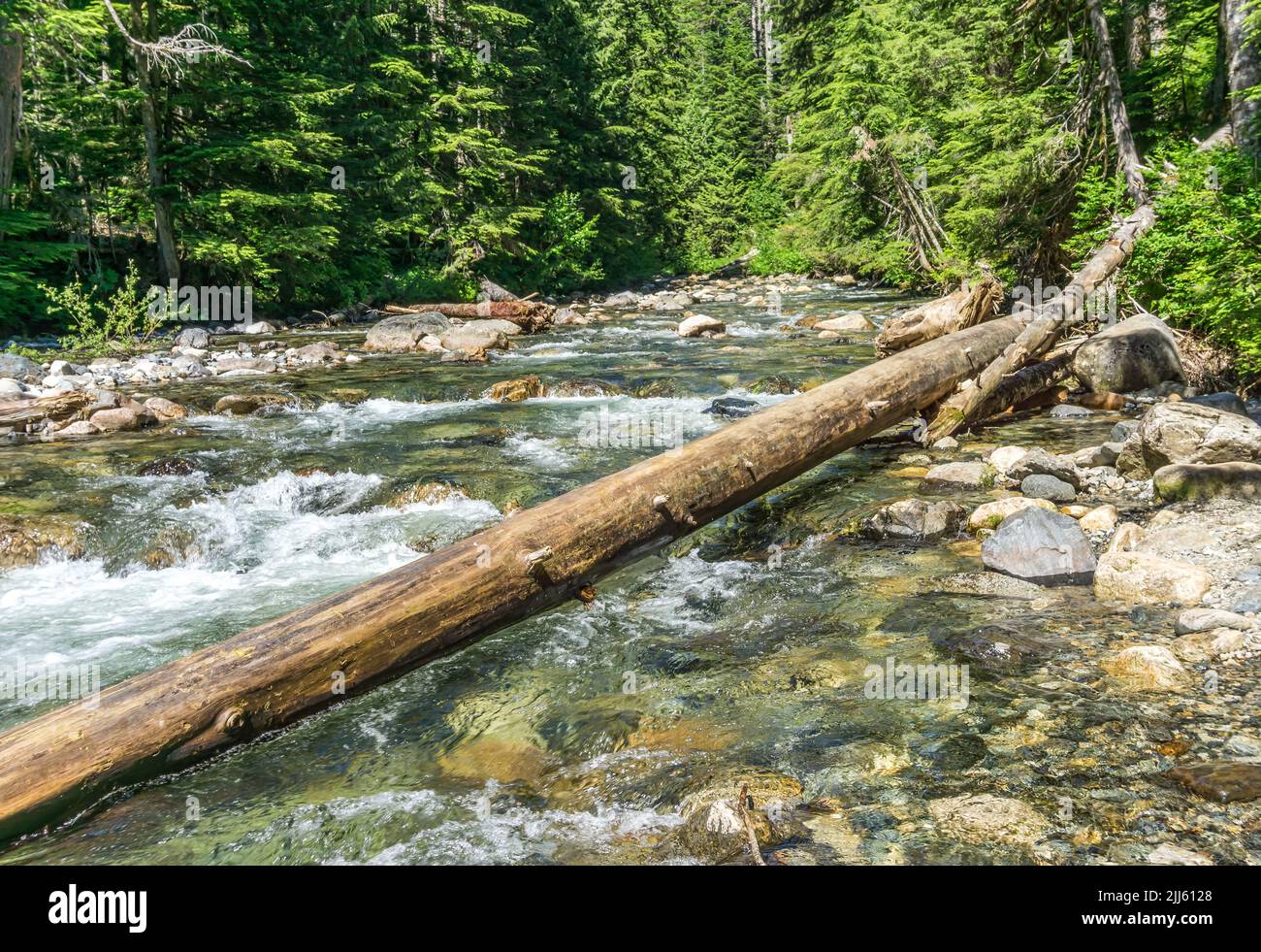 Rapids create whitewater at Denny Creek in Washington State. Stock Photo