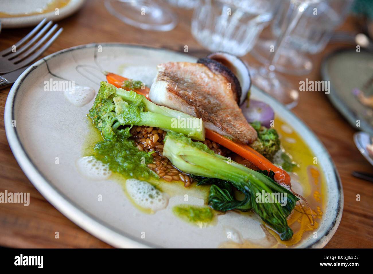 Sea bream fillet with vegetables and risotto Stock Photo