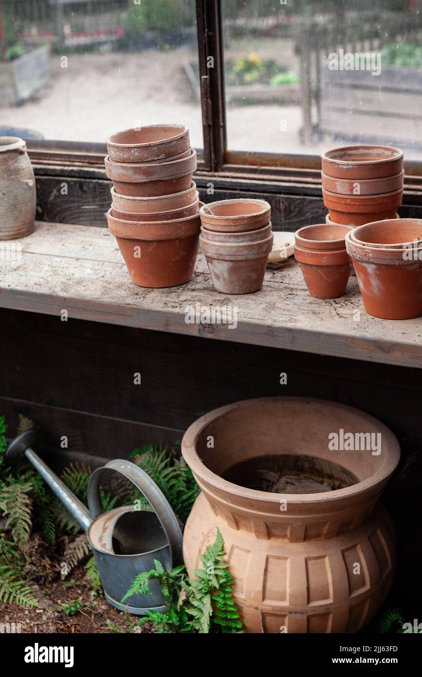 Terracotta pots and watering can in the gardener hut Stock Photo