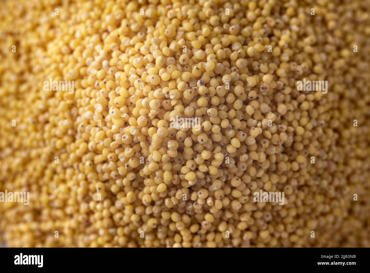 Millet groats in closeup. Top view. millet porridge Stock Photo Alamy