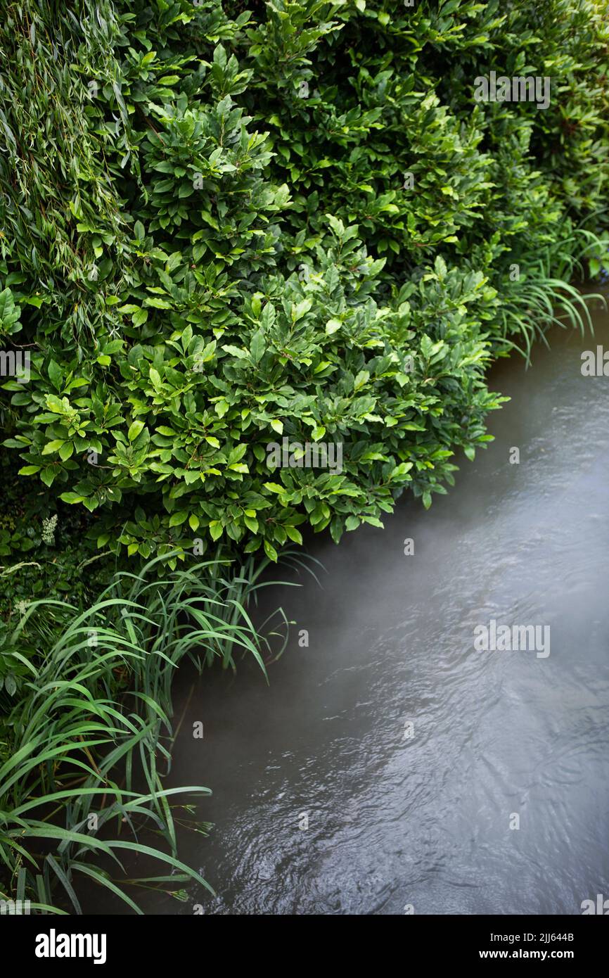Small river and vegetation in the countryside Stock Photo