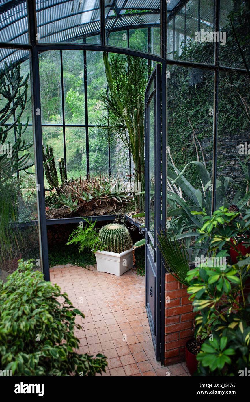 Interior of a vintage greenhouse Stock Photo