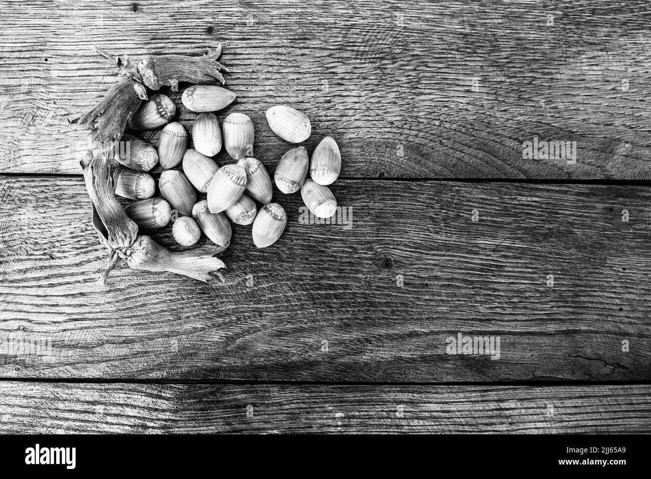 Red hazelnuts on a wooden board. Isolated hazelnuts. Stock Photo