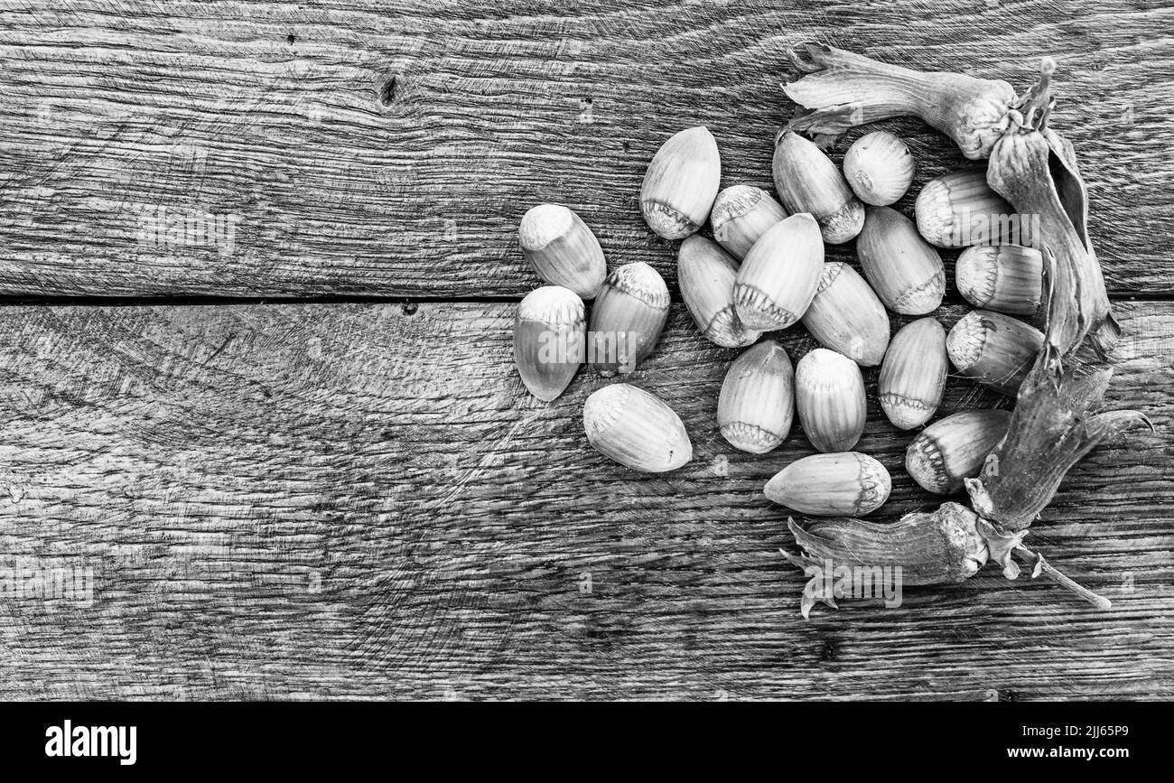 Red hazelnuts on a wooden board. Isolated hazelnuts. Stock Photo