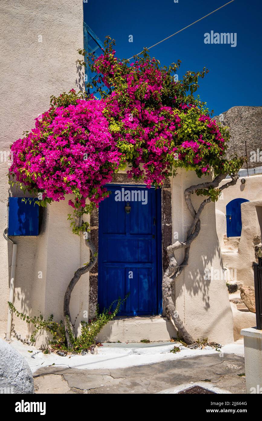 Traditional Greek blue and white house with vibrant pink bourganvillea against a clear blue sky Stock Photo