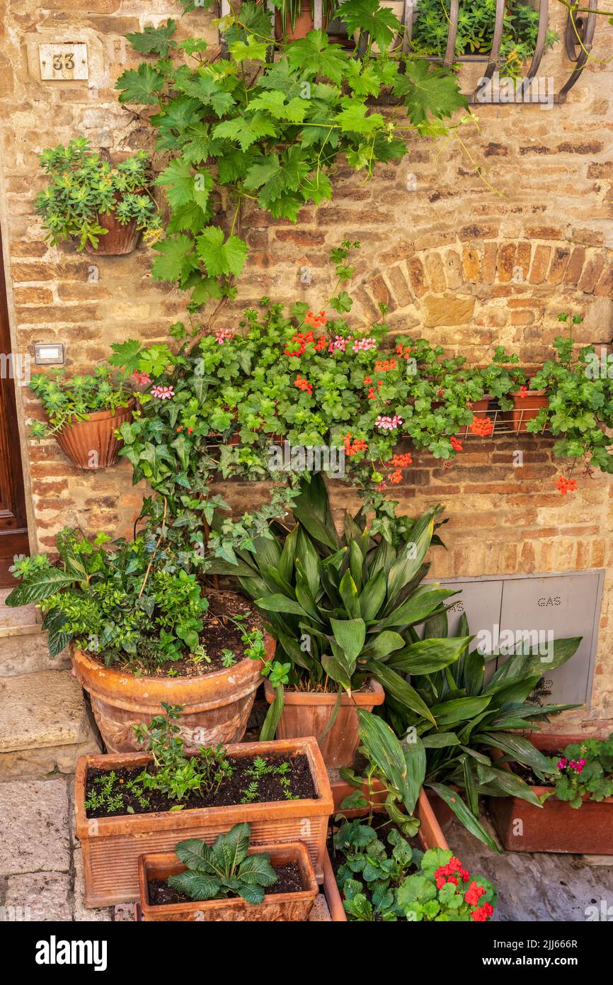 Colourful floral display on Via del Teatro in hilltop town of Montepulciano in Tuscany, Italy Stock Photo