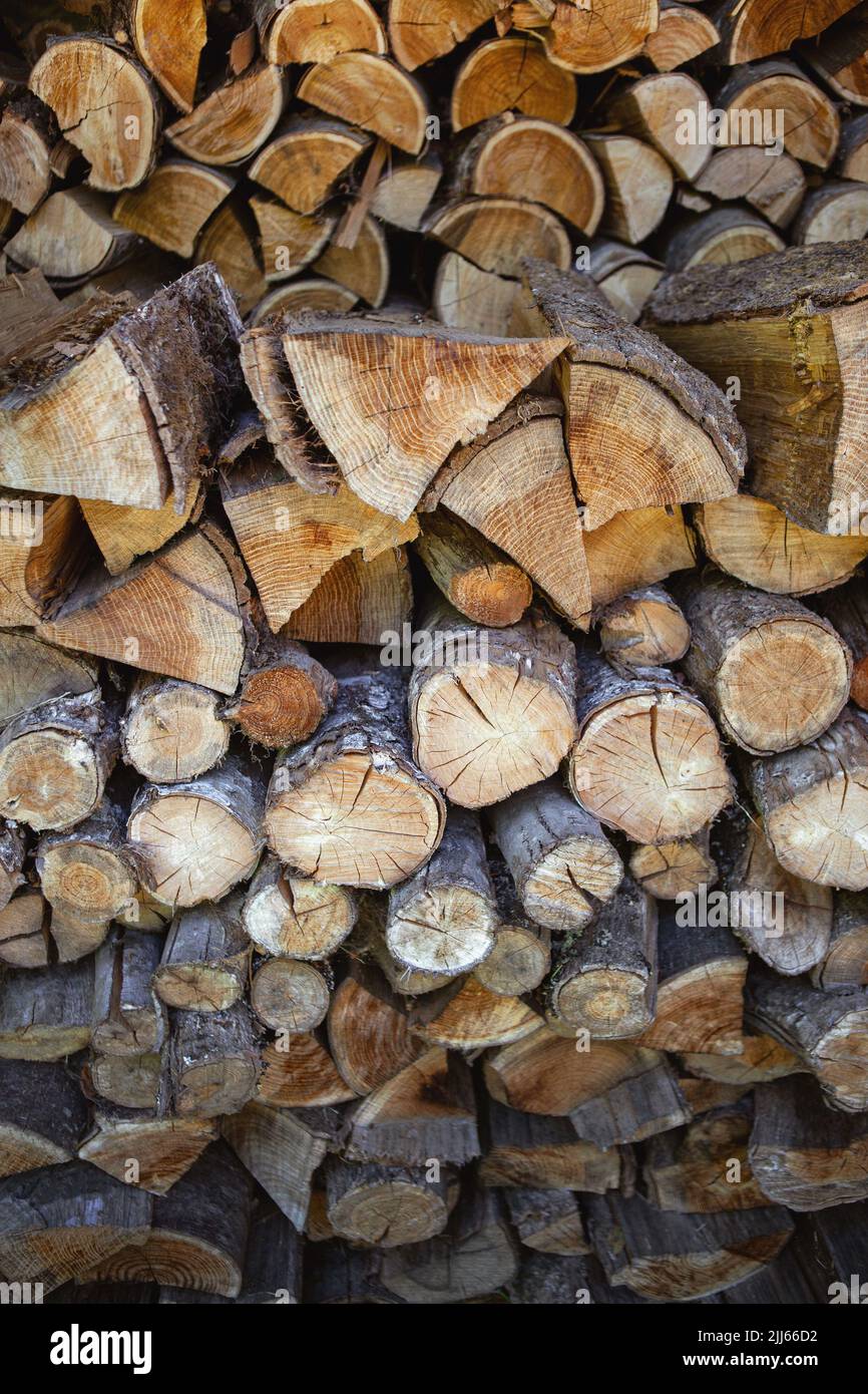 Chestnut and oak hi-res stock photography and images - Alamy