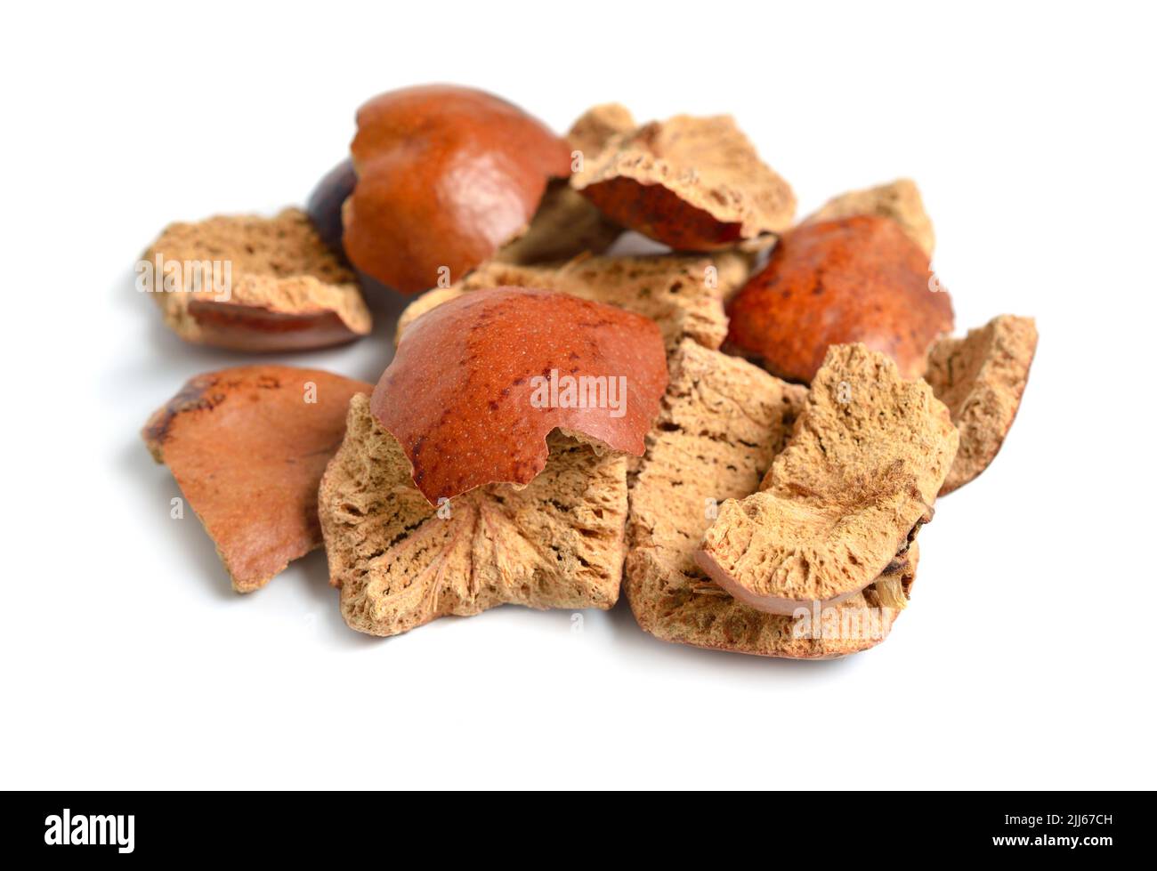 Dried peels of Hyphaene thebaica, doum palm or gingerbread tree also doom palm. Isolated. Stock Photo
