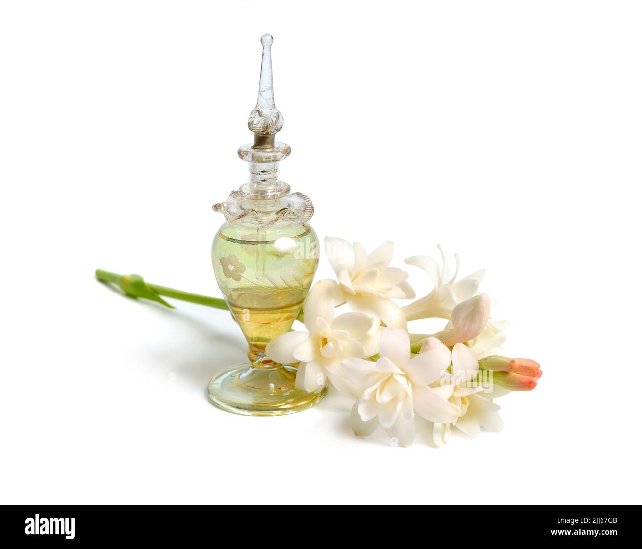 Agave amica, formerly Polianthes tuberosa or tuberose. With perfume bottle. Isolated on white background. Stock Photo