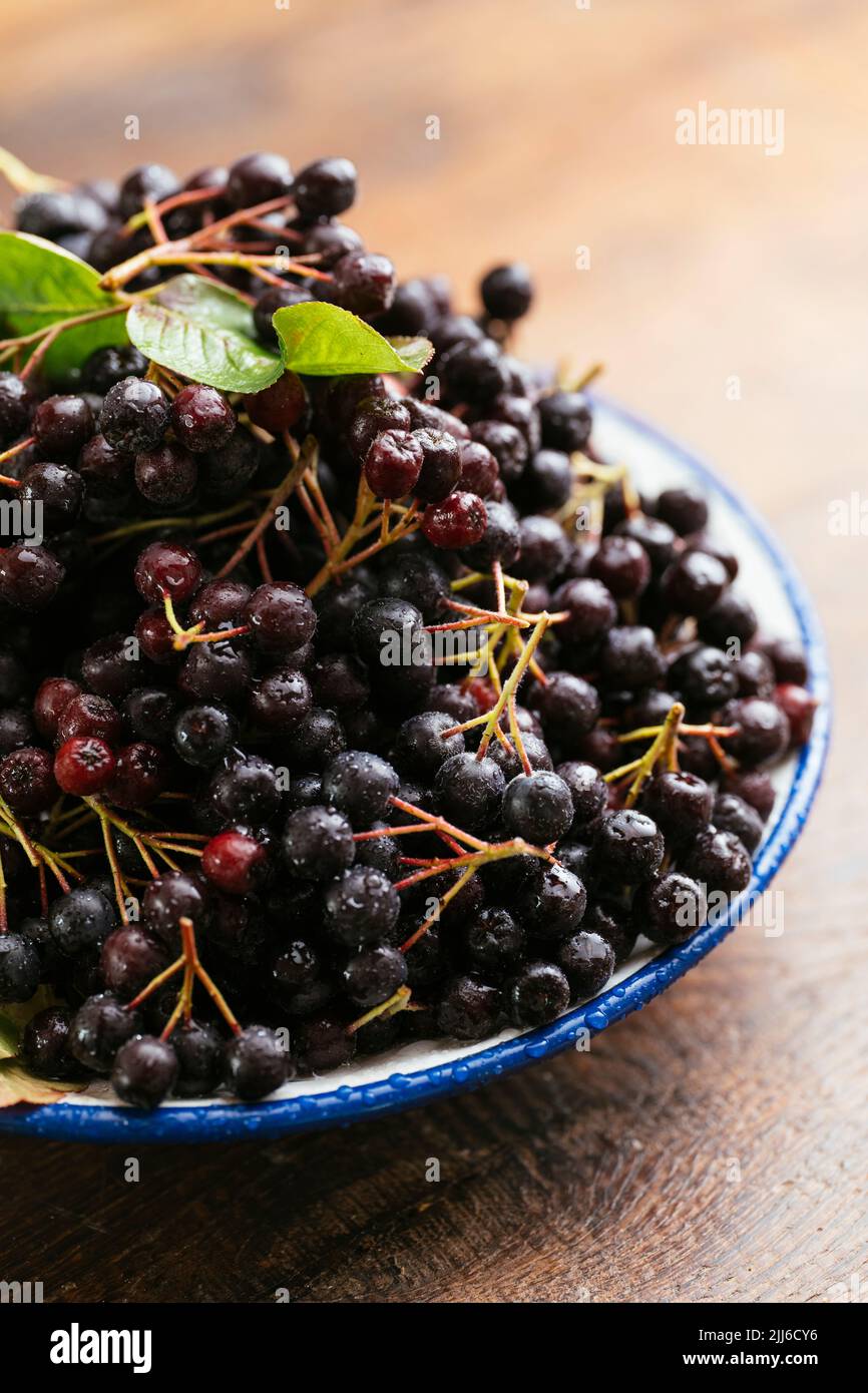 Bowl with fresh aronia berries Stock Photo