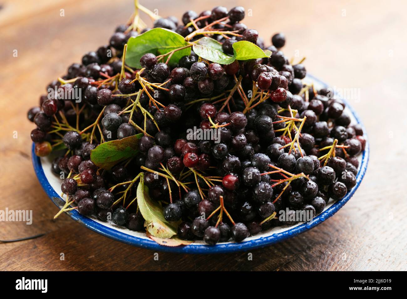 Bowl with fresh aronia berries Stock Photo