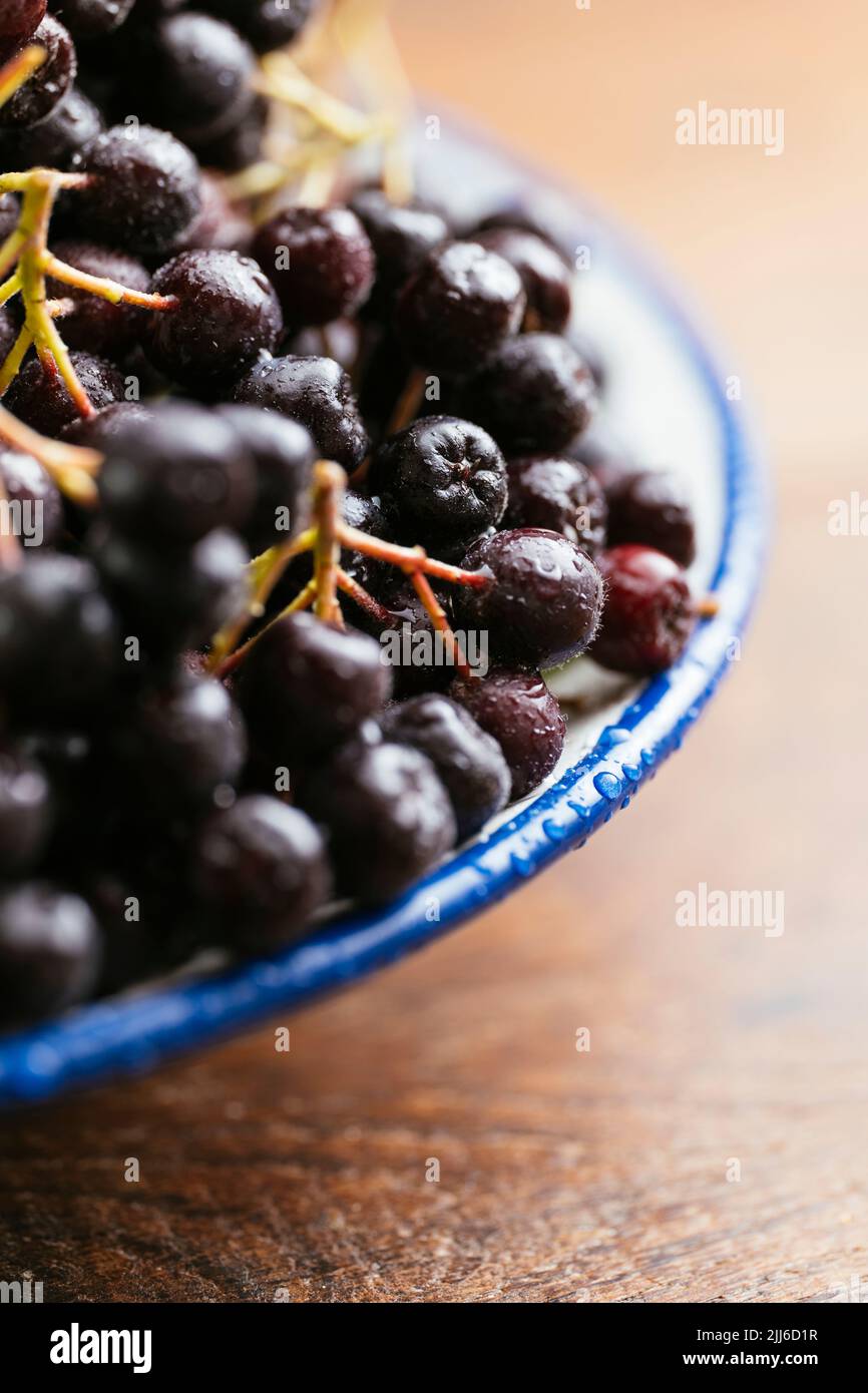 Bowl with fresh aronia berries Stock Photo