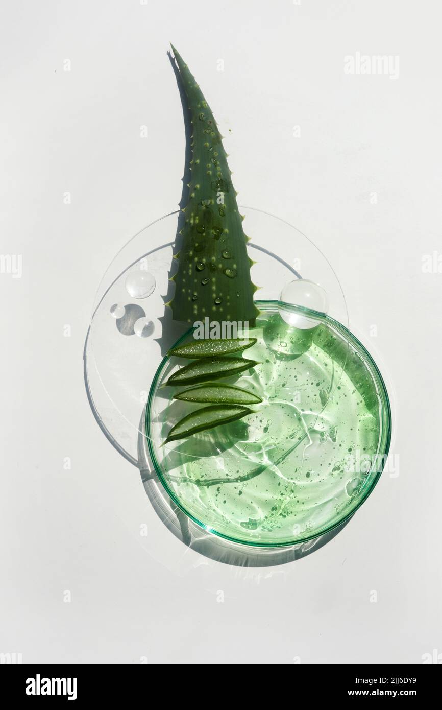 Abstract cosmetic laboratory. Aloe vera cosmetic product, natural  ingredients and laboratory glassware Stock Photo - Alamy