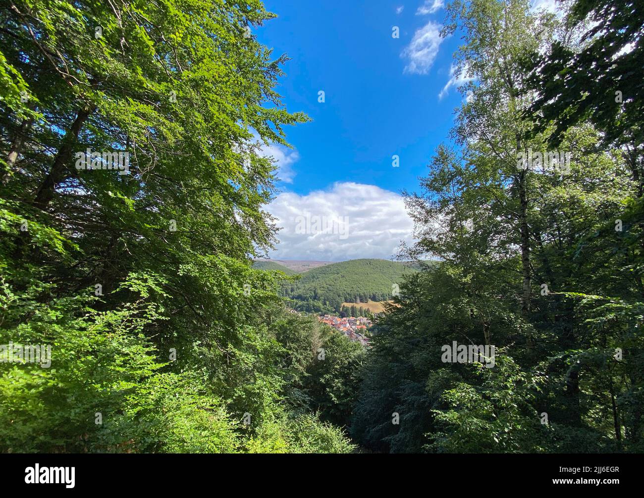 10 July 2022, Lower Saxony, Herzberg/OT Lonau: The hay view of the climatic health resort Lonau in the Upper Harz. The so-called dead-end village is a popular starting point for hikes in the Harz mountains in summer. Photo: Soeren Stache/dpa Stock Photo