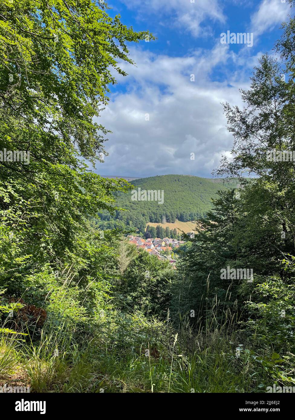 10 July 2022, Lower Saxony, Herzberg/OT Lonau: The hay view of the climatic health resort Lonau in the Upper Harz. The so-called dead-end village is a popular starting point for hikes in the Harz mountains in summer. Photo: Soeren Stache/dpa Stock Photo