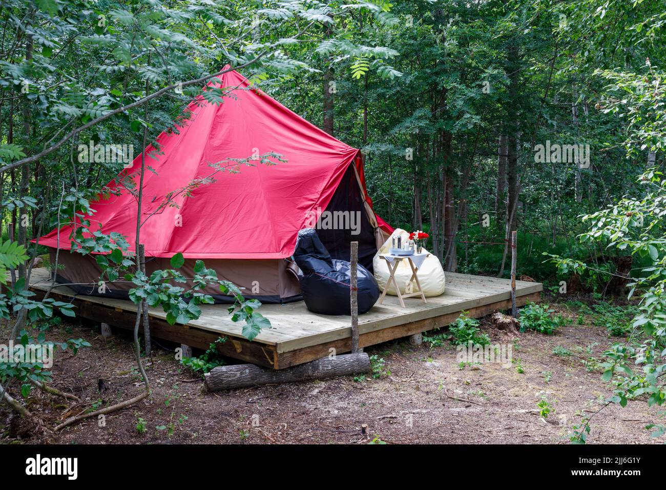 Photo of glamping in the forest in summer Stock Photo