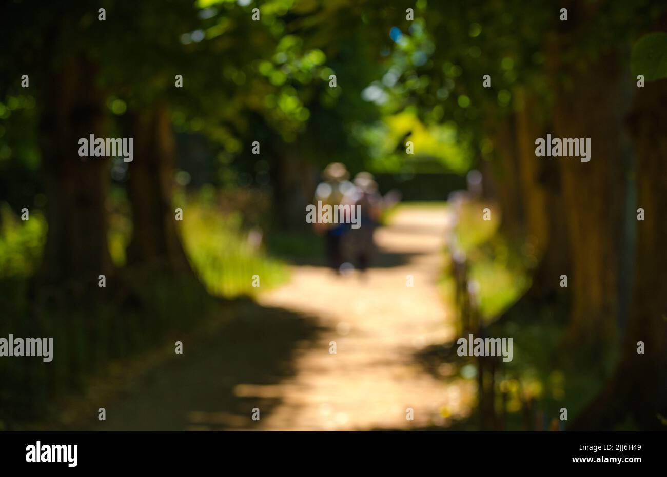 Out of focus photograph of a couple man and woman walking away down a tree line path. Stock Photo
