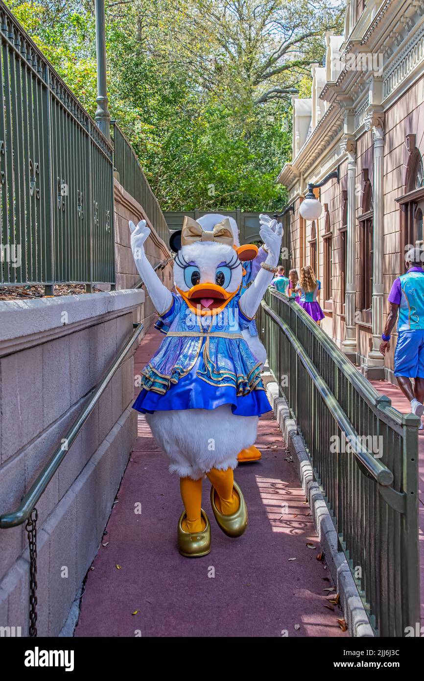 Daisy Duck character at DIsney Magic Kingdom in 50th celebration outfit Stock Photo