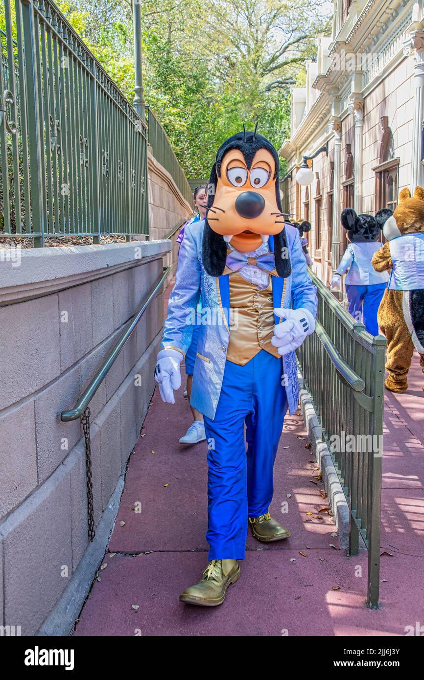 Goofycharacter at DIsney Magic Kingdom in 50th celebration outfit Stock Photo