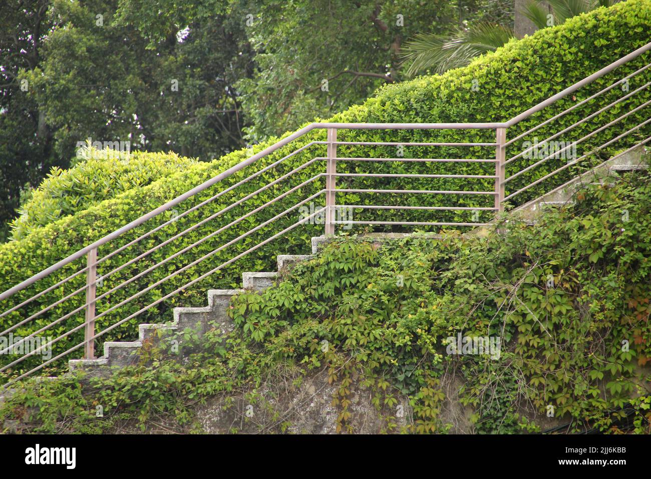 A railing on the side of green hedges in a park Stock Photo - Alamy