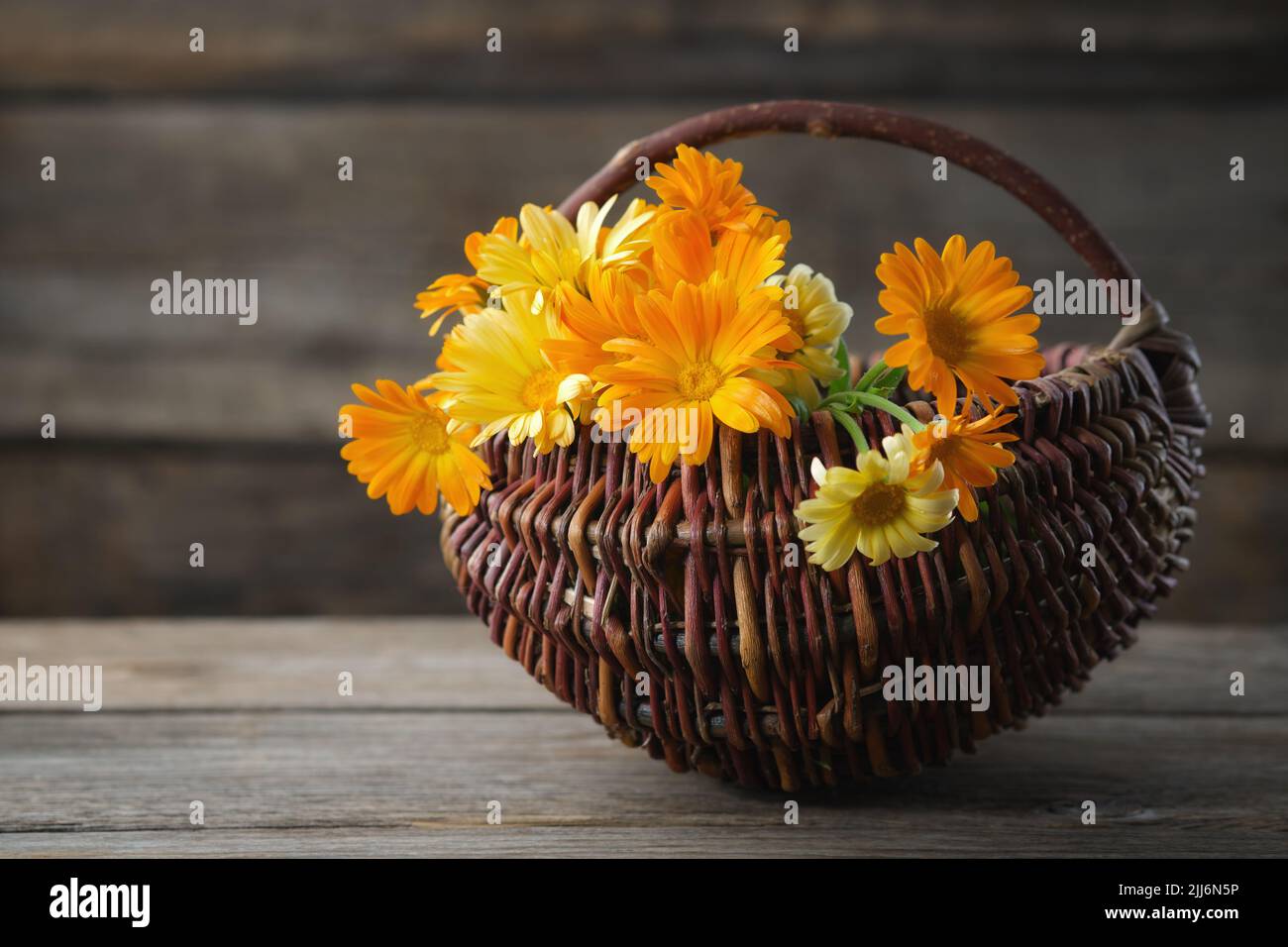 Basket of healthy fresh calendula medicinal herbs. Marigold flowers. Alternative herbal medicine. Stock Photo