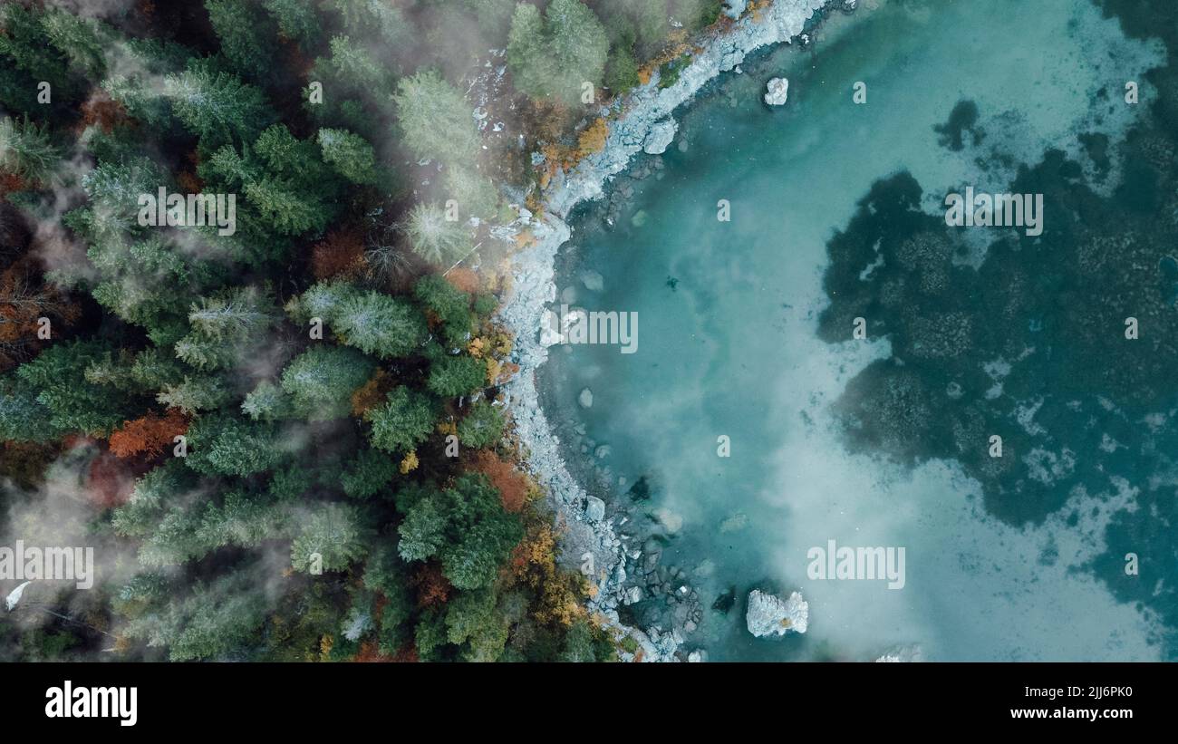 A top view of the pine trees by the lake Stock Photo - Alamy