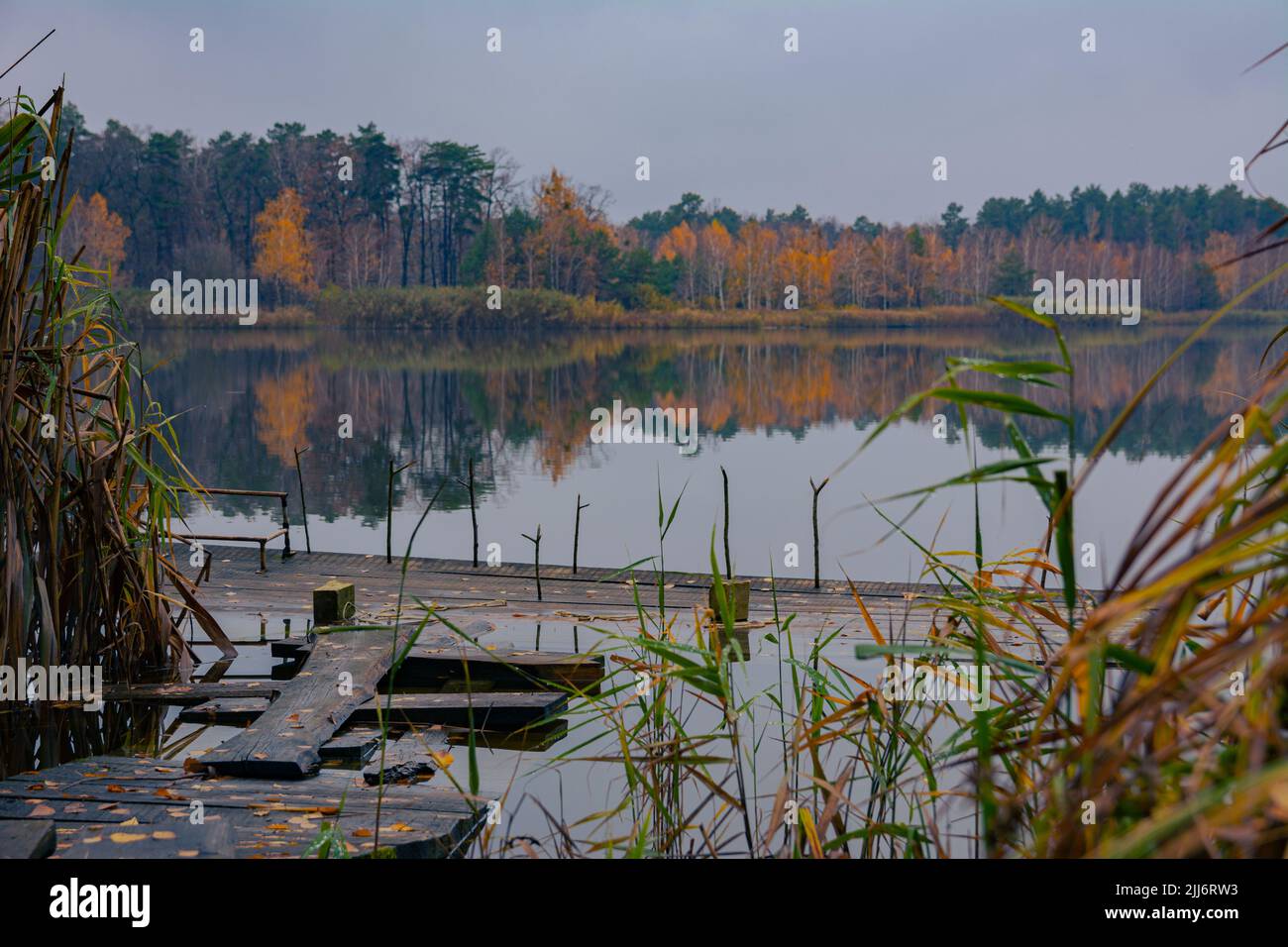 Gloomy autumn day, photo of a forest lake with a calm surface of the water, a fishing bridge, reflection of the forest in the water of the lake, yello Stock Photo